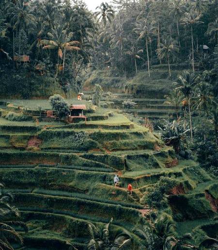 Indonesia .what a beauty