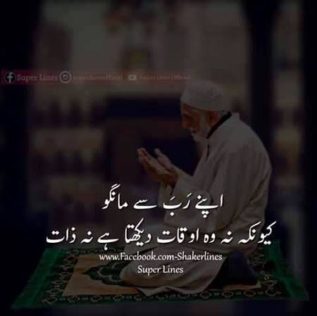 Bilkul 💯