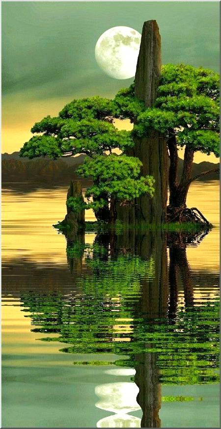 🔥🔥beauty of Pakistan🔥🔥