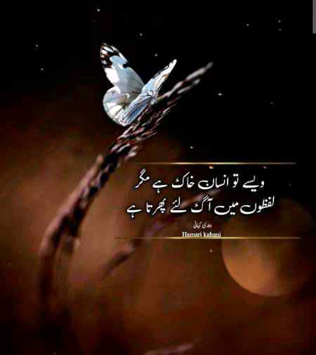 Kash hum insan ban jayen .i5
