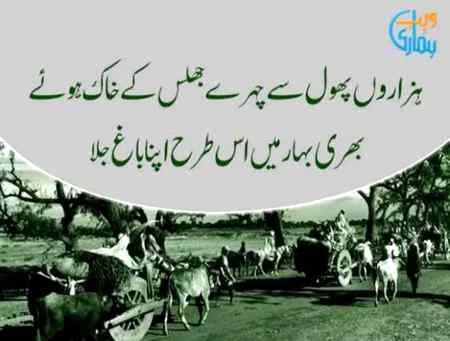 آذادی مبارک