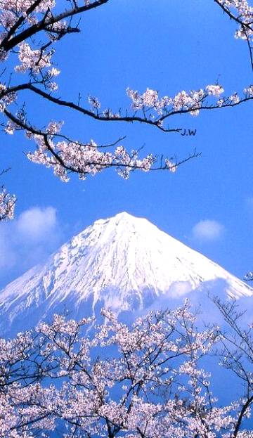 Mt fuji....