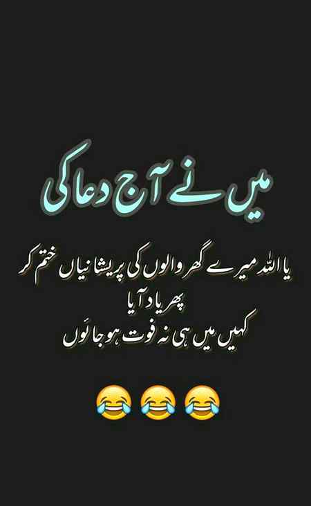 hlo friends