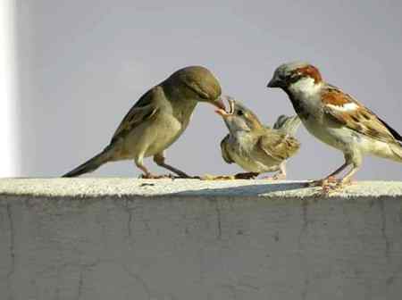 یوں غلط نہیں ہو تے چہروں کے تاثیر لیکن
لوگ ویسے نہیں ہو تے جیسے نظر آتے ہیں