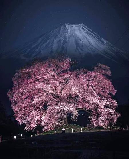 Amazing mountain japan