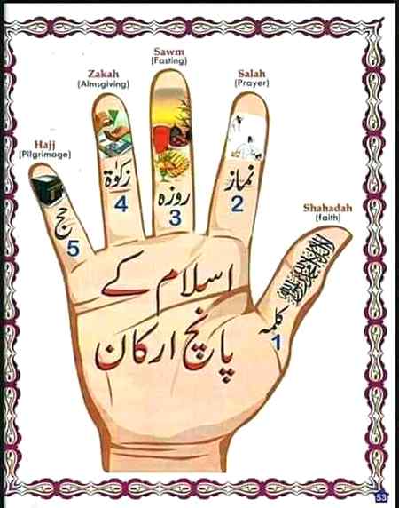 Sending by fareed ahmed shaikh