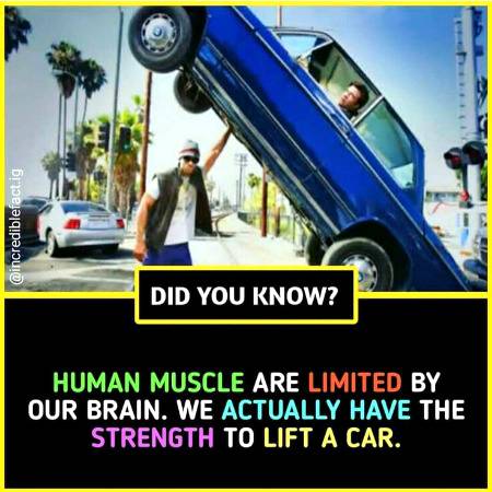 Did you know