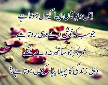 Hlo.friends