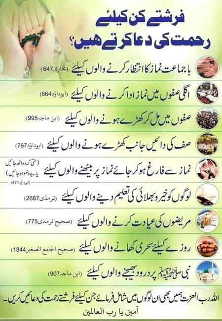 اسلام و علیکم