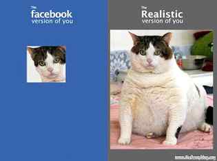 The reality