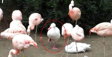 When you lied on your resume but got the job anyway