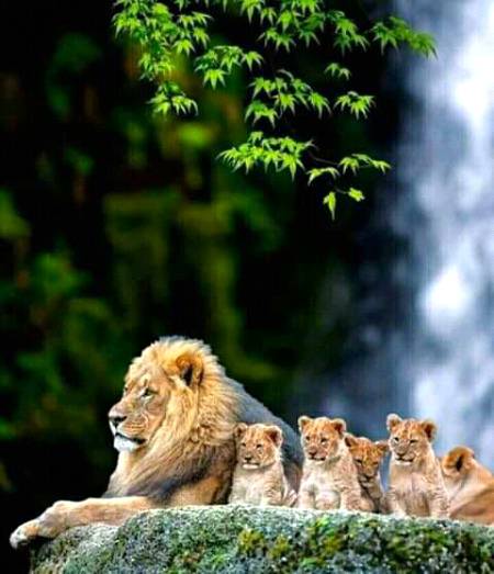 How cute family