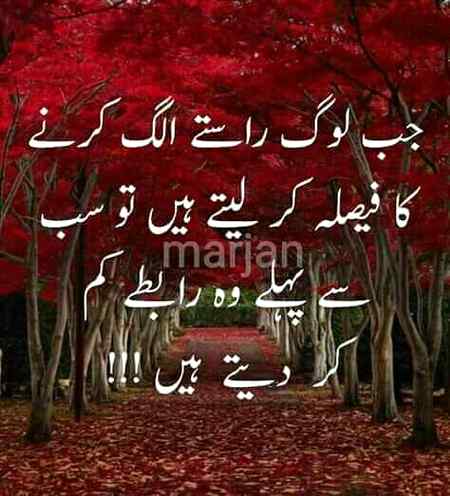 Try to understand
