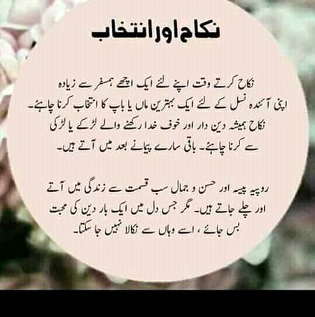 ...GREAT LINES...