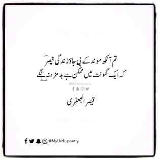 By قیصراجعفری