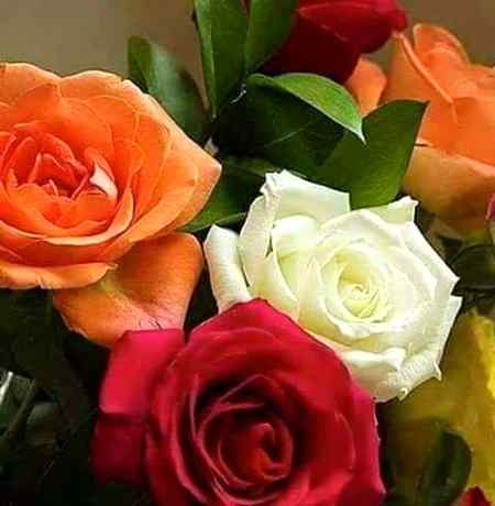 Assalam o Alaikum All