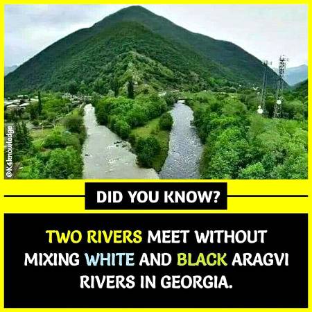 Did you know