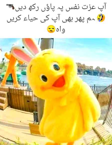 Osy bhati na thi meri sarati tabiyat 🍁✍️🍂ma nea trsa ky rakh dia osy sangida ho kr ✍️🍁🍂