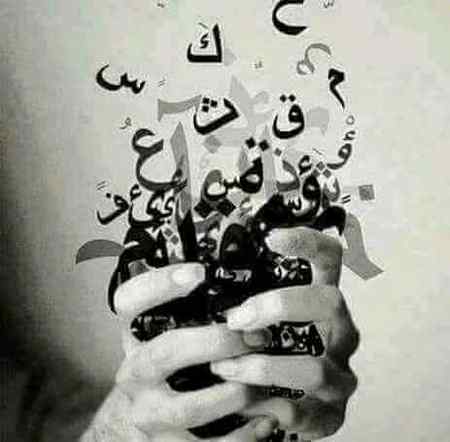 اٹھا لایا وہ کتابوں سے الفاظ کا جـنگل

سنا ہے میــــــری خاموشی کا ترجـــــمہ ہو گا