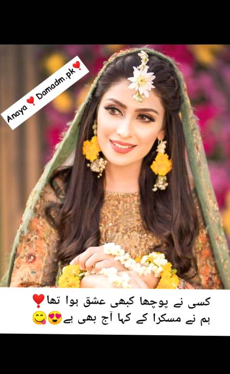 ❣️By Anaya❣️