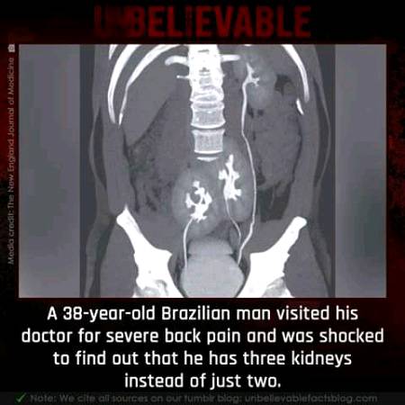 Unbelievable facts