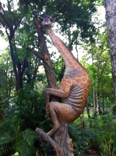 Photography 🔥🔥