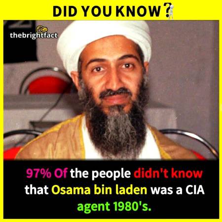 Did you know?