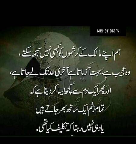 🌿👌 🌘 🌙  🌙