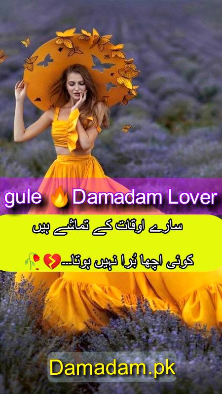 gule💕Damadam Lover🔥