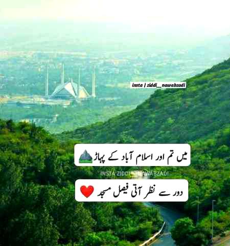 یہ چھم چھم دور سے سنتا نہیں میں
پلٹ   کر   دل  میں  شہنائی  کرو  تم
۔
وہ   تصویریں   پرانی   ہوگئیں   ہیں
نئ   تصویر   اک   جاری    کرو    تم