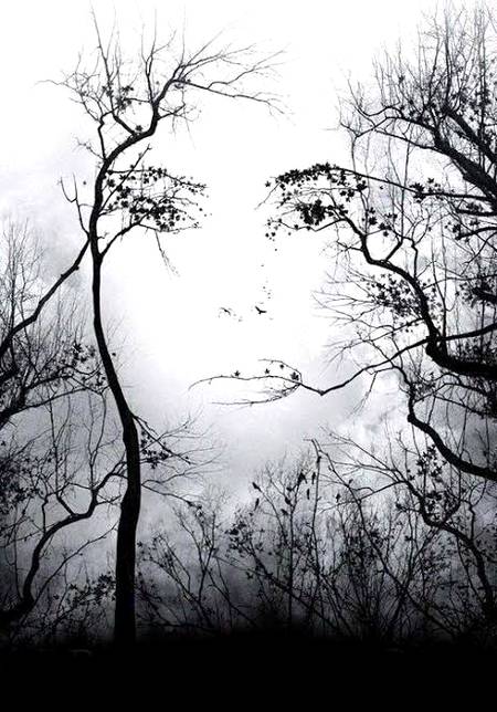 Nice phOtoGraPy...