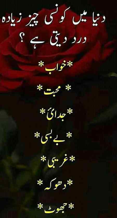 MUGHAL SHARNI🐯😍👈