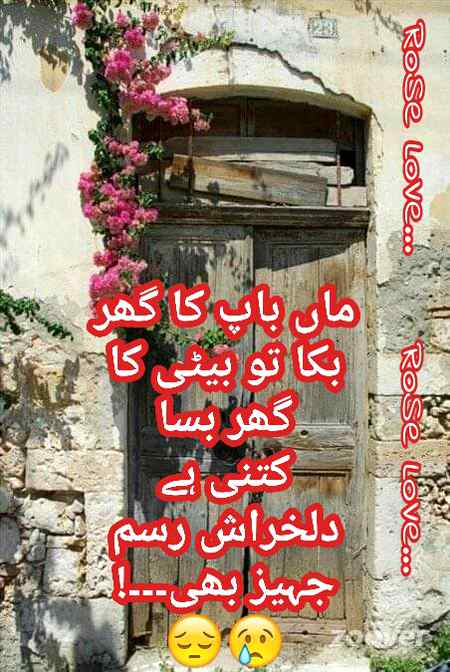 😢🌹😢🌹😢👍😢👍😢🌹😢🌹😢💗😢💗😟💗😢