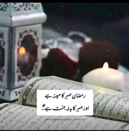 🌼Beshak🌼