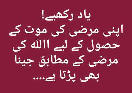 Right Hy na