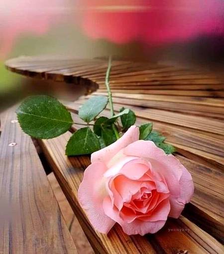 زندگی میں آگے بڑھنے کے لیۓ
پریشانیوں ، مشکلات ، hurdles  ، دوسروں کے رویوں ، اور ان حالات پر جو آپ کے کنڑول میں نہیں 
بہتر ہے  زیادہ Focus نہ کریں۔ 

ان کو رب کے حوالے کر کے آپ وہ کریں 
جو زندگی میں نکھار لانے کے لیۓ آپ کر سکتی ہیں۔ 
گبھرائیں نہیں ۔ اللہ آپ کے ساتھ ہے۔