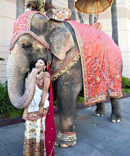 Wawo nicellY🔥🔥