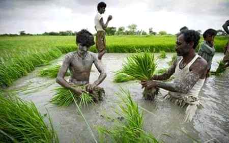 hi friends  ye.kaam kon kon krta hai ya krta tha