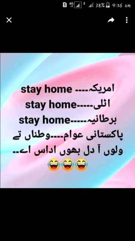 Pakistani ashiq