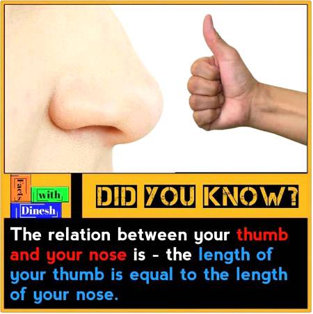 Did you know