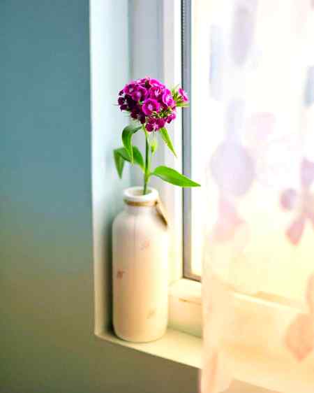 نہیں نہیں یہ وقت نہیں نہیں نہیں کا 
تیری اس نہیں نے چھوڑا نہیں مجھے کہیں کا 🖤