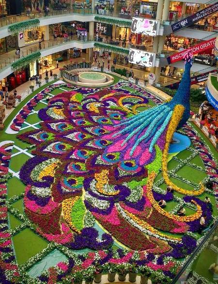 Amazing....😍