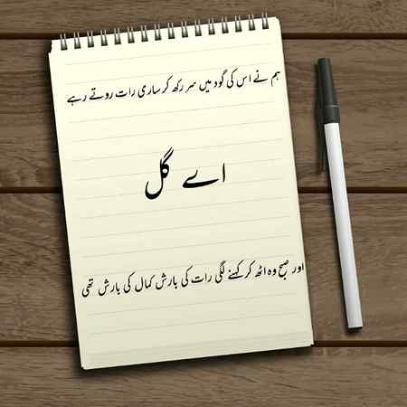 Editor....Gul
