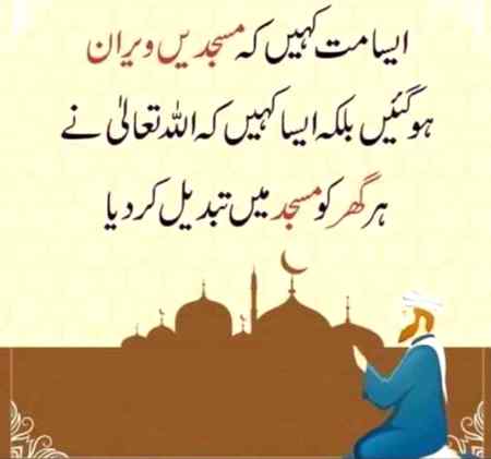 hlo friends