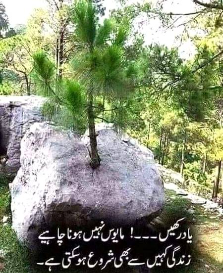 Dont be sad at any moment in life