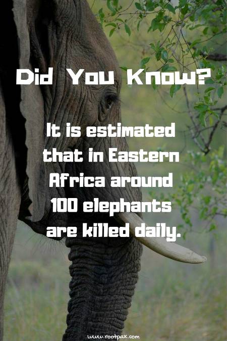 Did you know