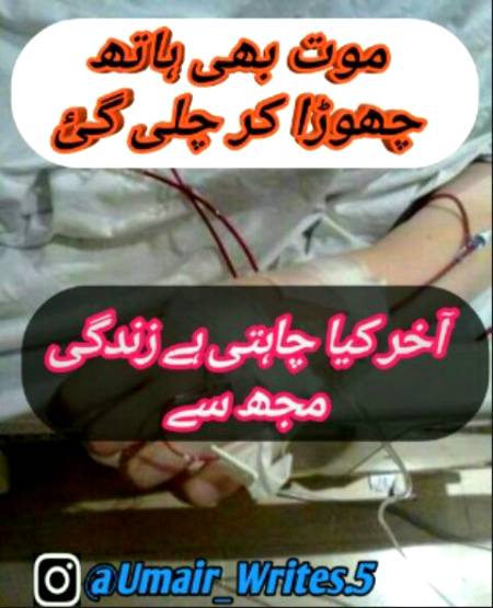 For u m
Fyp
Formepage