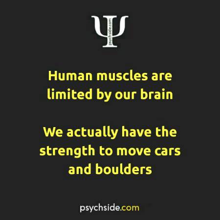 psychological fact