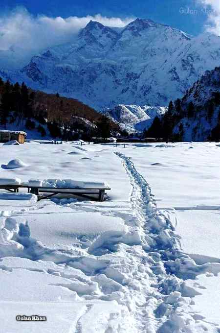 Fairy meadows nanga parbat ,gilgit baltistan Pakistan