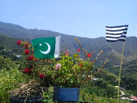 Beautiful view of my village... bachon ki farmayesh🌹💞🌹